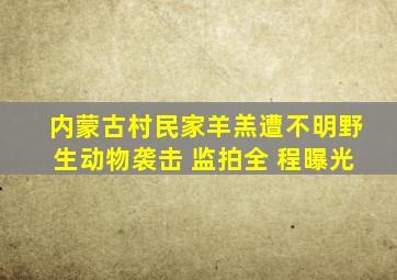 内蒙古村民家羊羔遭不明野生动物袭击 监拍全 程曝光